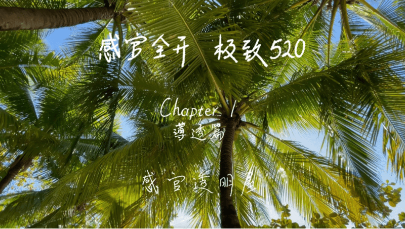 感官全开，极致520