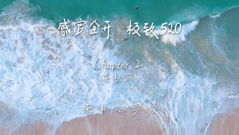 感官全开，极致520