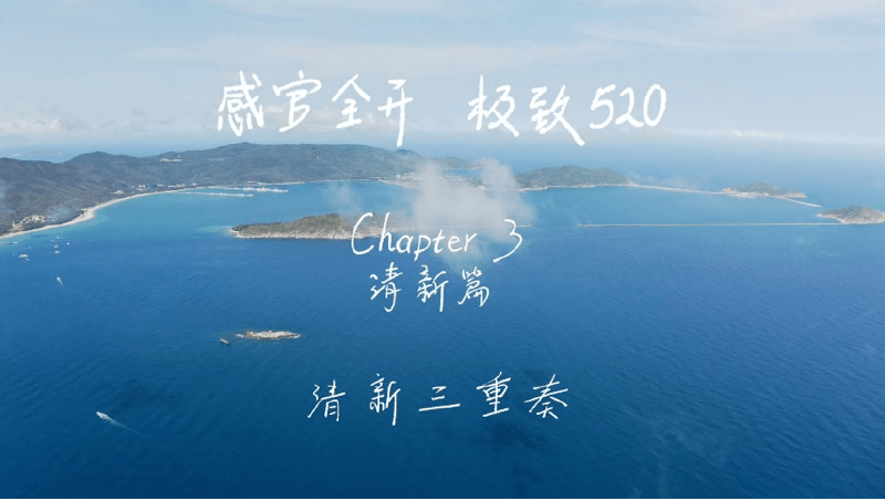 感官全开，极致520